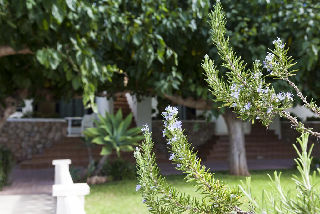 Apartamentos Els Romers Benicarlo-Peñíscola エクステリア 写真