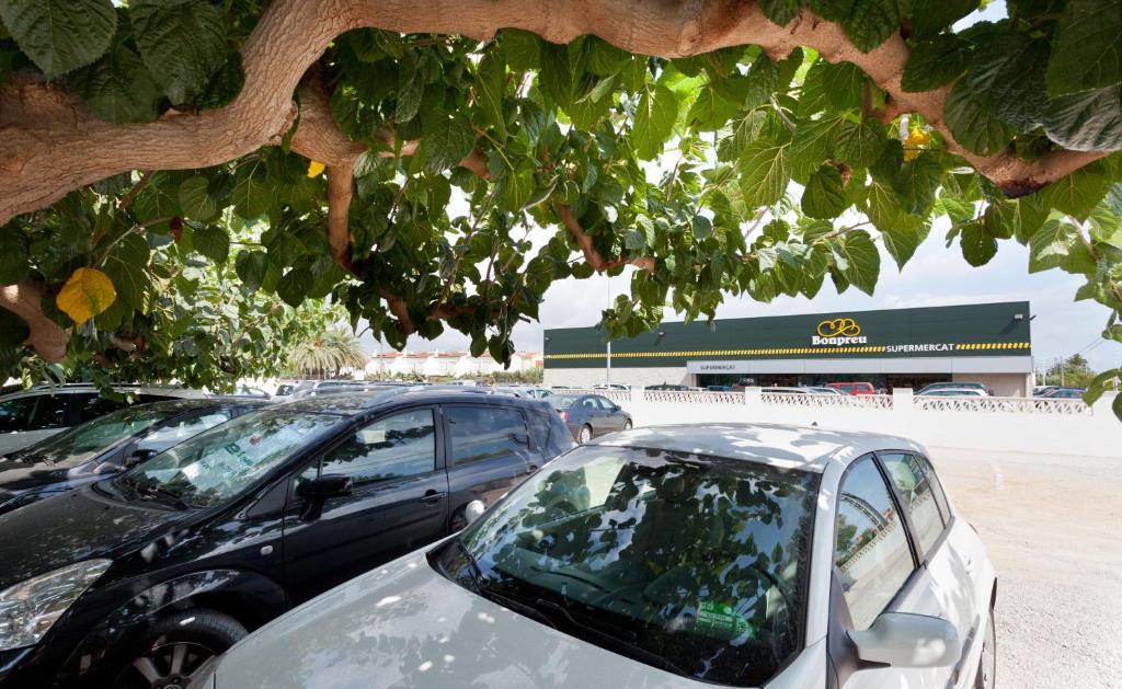 Apartamentos Els Romers Benicarlo-Peñíscola エクステリア 写真